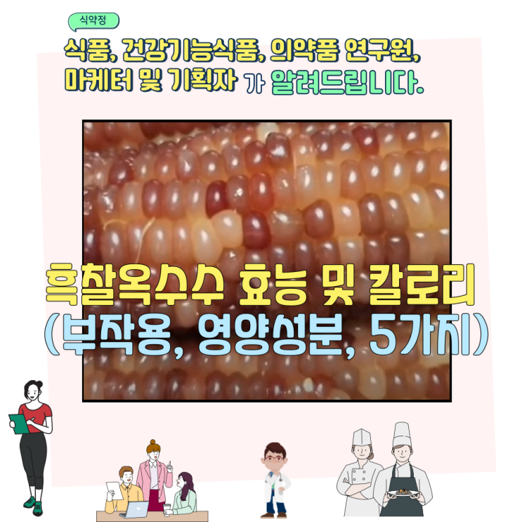  흑찰옥수수 효능 및 칼로리 (부작용, 영양성분, 5가지)