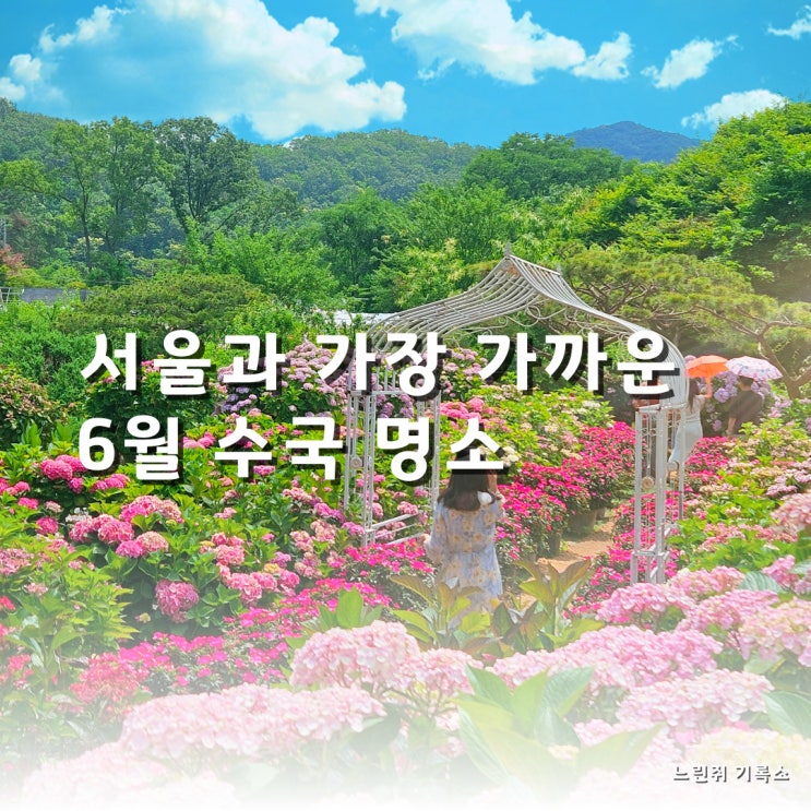  서울근교 수국명소 율봄식물원 6월 개화정보 총정리
