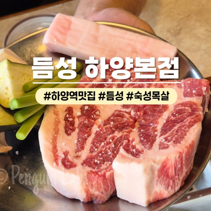  하양역 맛집 듬성 경산하양본점 구워주는 고깃집 육즙가득 목살 후기