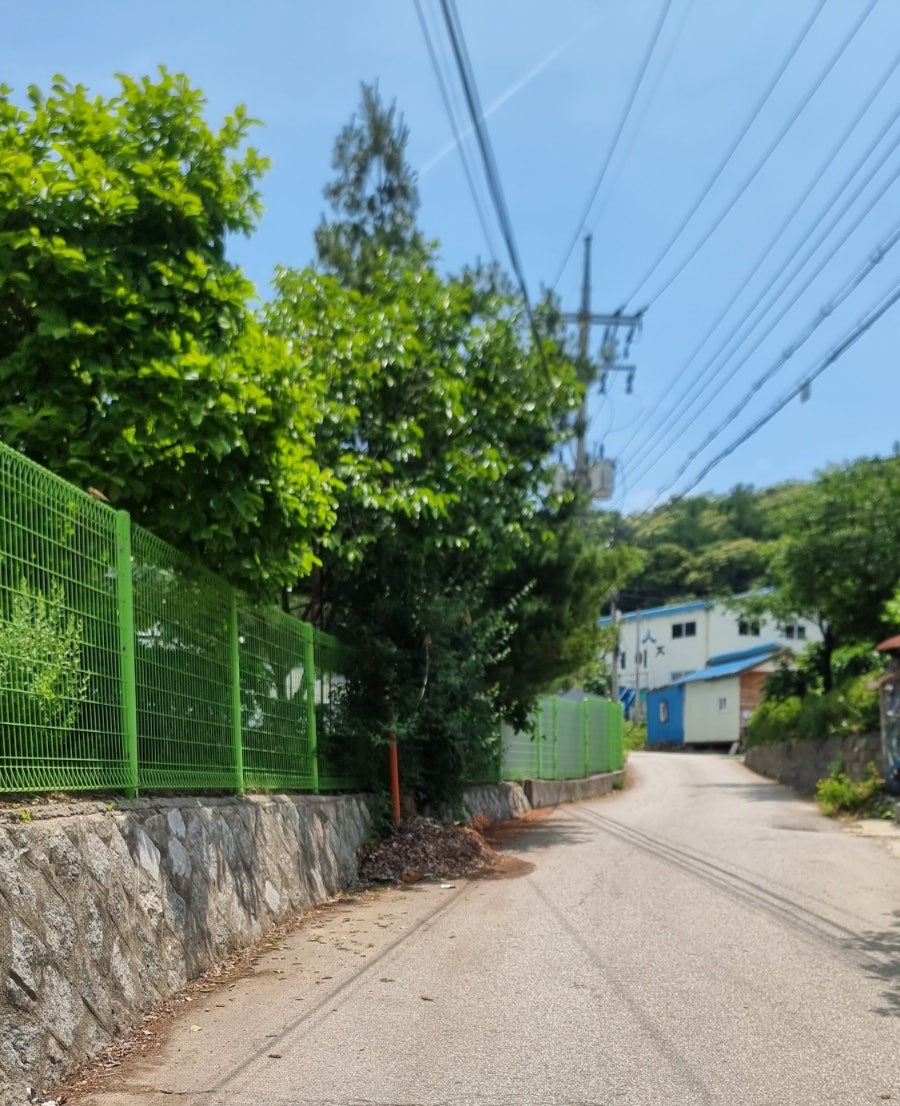 서봉산알천냉면 사진 3