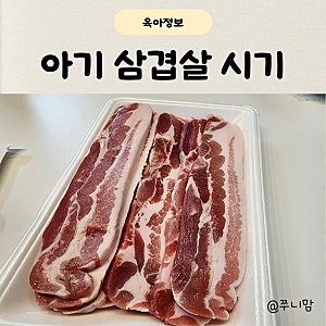 돌 아기 돼지고기 삼겹살 언제부터 조리법 팁