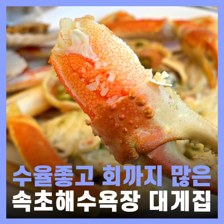  속초 대게 맛집 속초해수욕장 횟집 머구리횟집