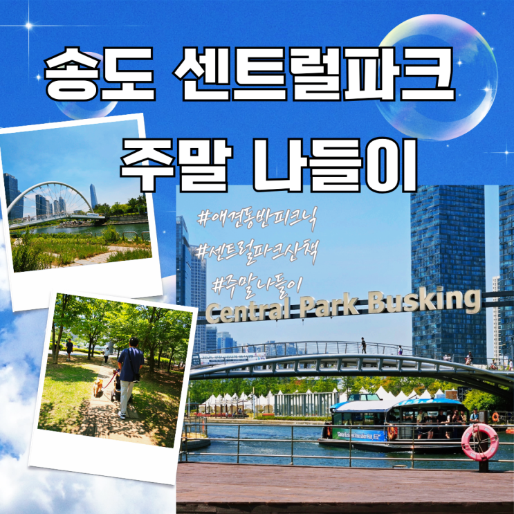  송도 애견동반 주말나들이 코스 | 센트럴파크 피크닉 스토리
