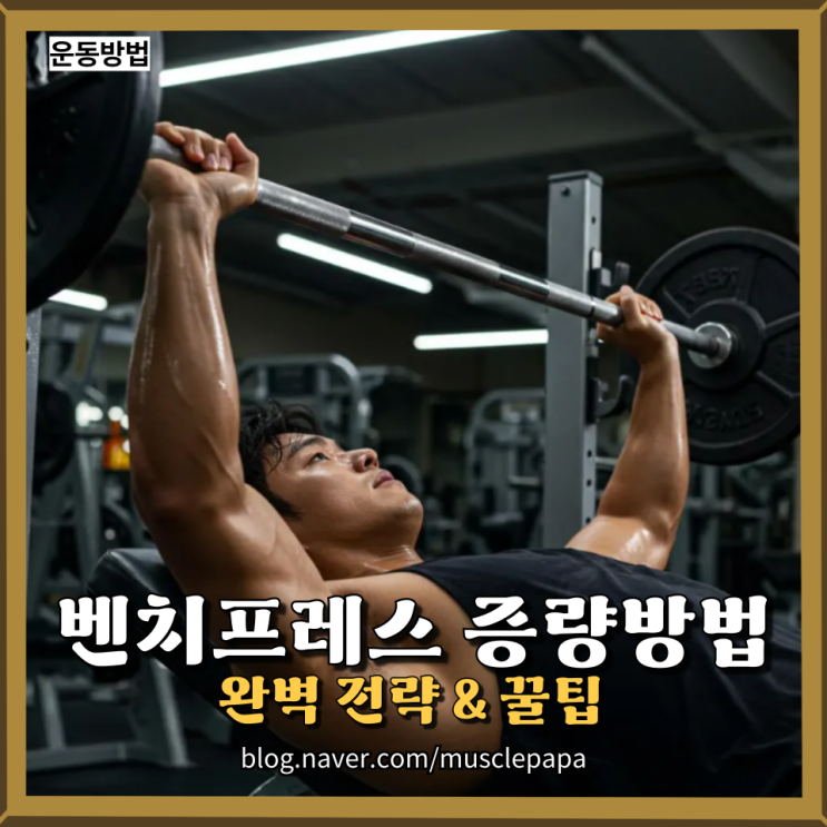  벤치프레스 중량 늘리기! 헬린이도 가능한 3대 500 달성법