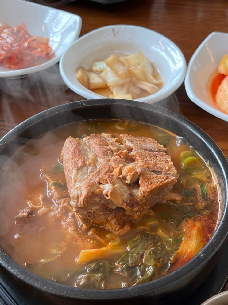  [경기 화성] 2인분 같은 왕뼈에 푸짐한 살코기 동탄 뼈해장국 감자탕 맛집 내돈내산 솔직 후기 | 왕뼈집감자탕뼈찜