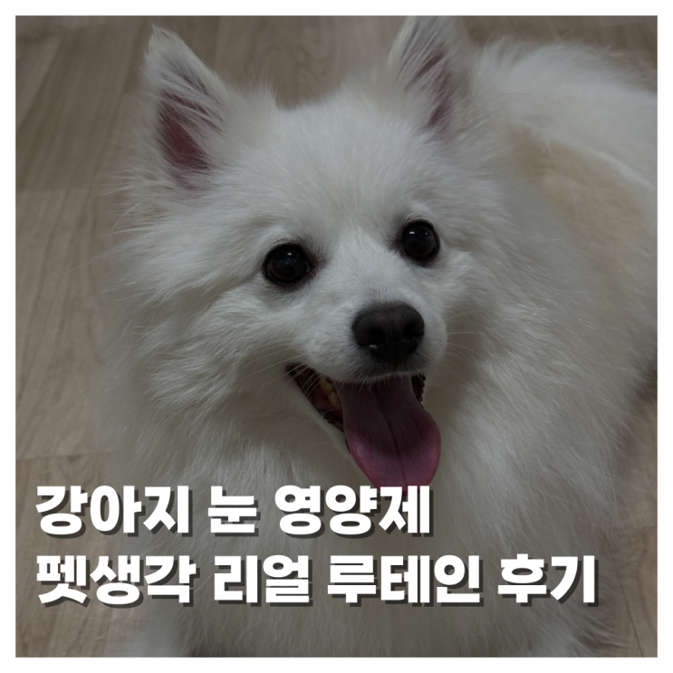  [PET]강아지 반려동물 영양제 눈물자국 치료 루테인 눈 영양제 펫생각 리얼 루테인 솔직 후기