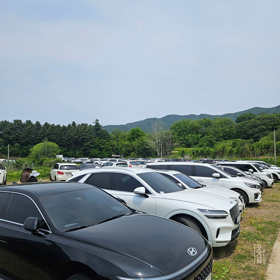 그리너리 복숭아빙수점 사진 4