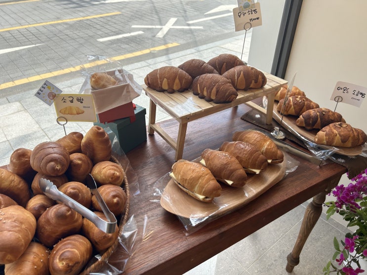  대구 반월당역 베이커리 맛집 추천 <메종드소노미 대구 동성로점>