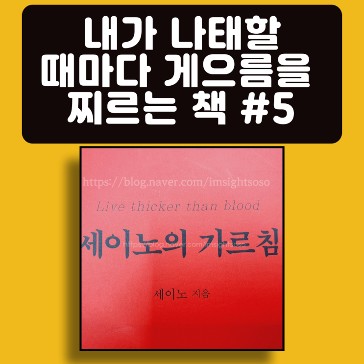  세이노의 가르침, 세이노, 게으름 극복 필독서, 자기계발 책추천: 내가 나태할 때마다, 게으름을 찌르는 책 #5