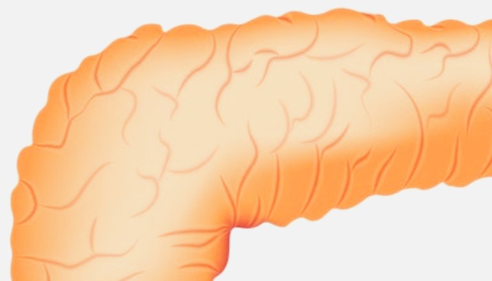  "침묵의 살인자 췌장암과 알코올의 충격적인 진실"