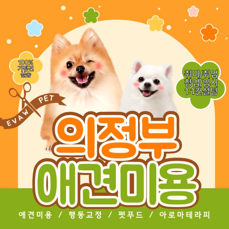  의정부애견미용 제대로 배우려면? 자격증 준비부터 기관 선택까지
