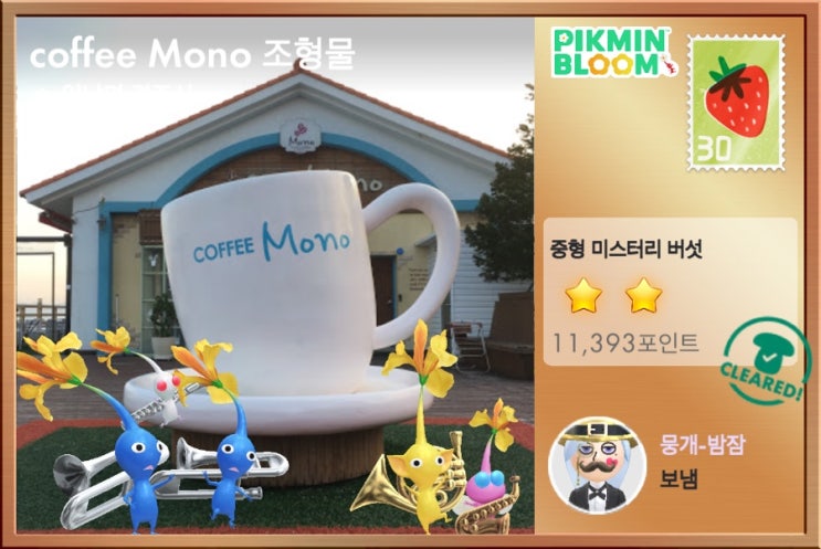  [피크민 엽서 3] 양남면 경주시