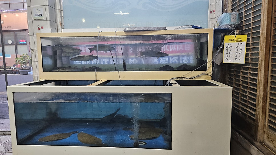 금강산24시막썰어횟집 사진 4