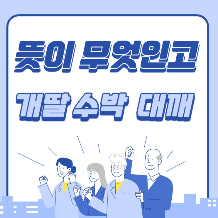  개딸 수박 뜻 대깨 용어 논란과 그 영향은