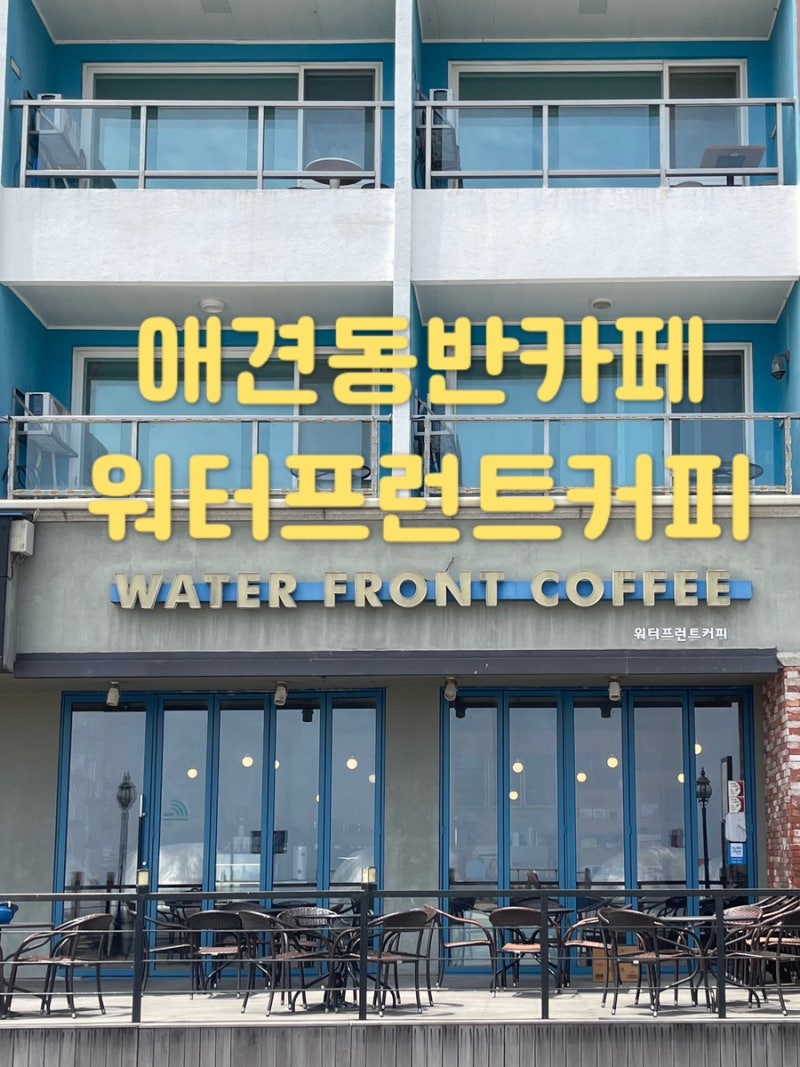 낙산사 낙산해수욕장 애견동반+오션뷰 카페“워터프런트커피”