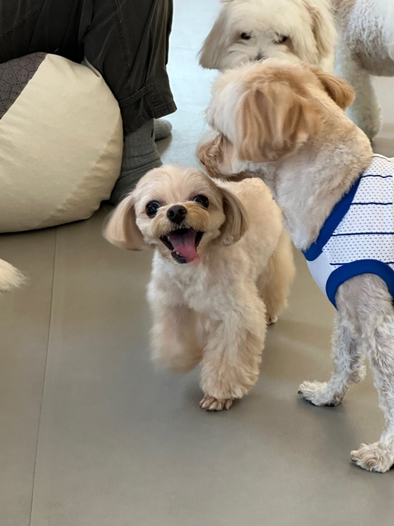 사진 2