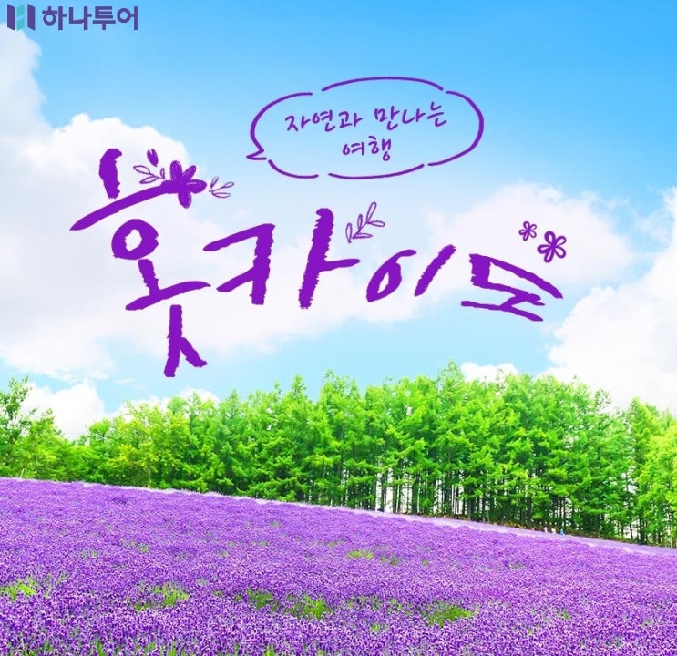  한여름 시원한 북해도 7월 최저 하나투어 특가 5만원 추가할인