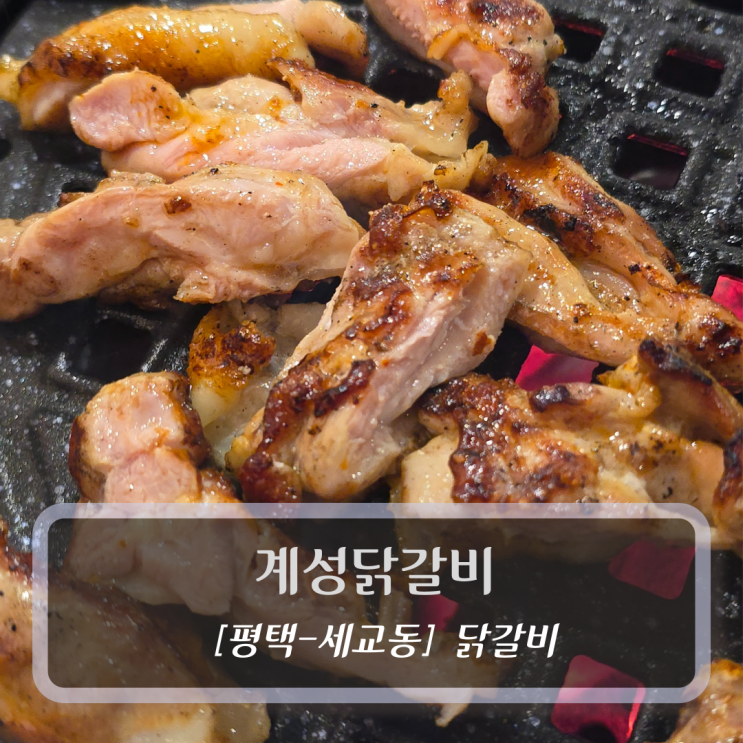  평택 닭갈비맛집 :: 계성닭갈비 후기