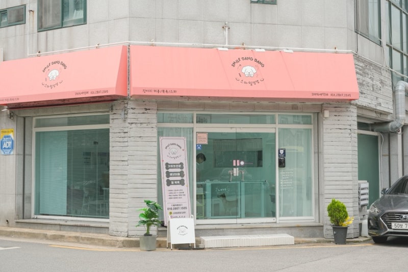 사진 6