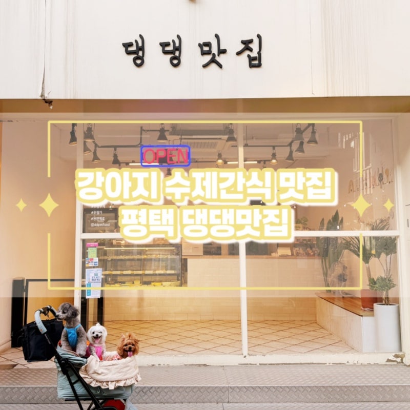 댕댕맛집
