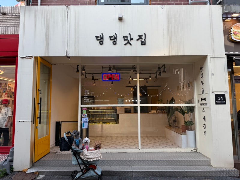 사진 2