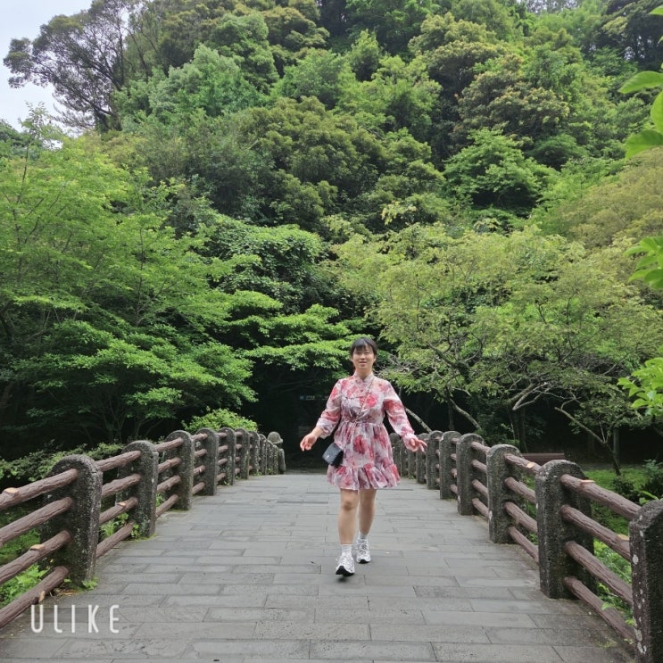  [제주일기] 제주 서귀포 가볼만한곳 남쪽 코스 추천<천지연폭포> 한복 인생샷명소 주차·입장료 꿀팁