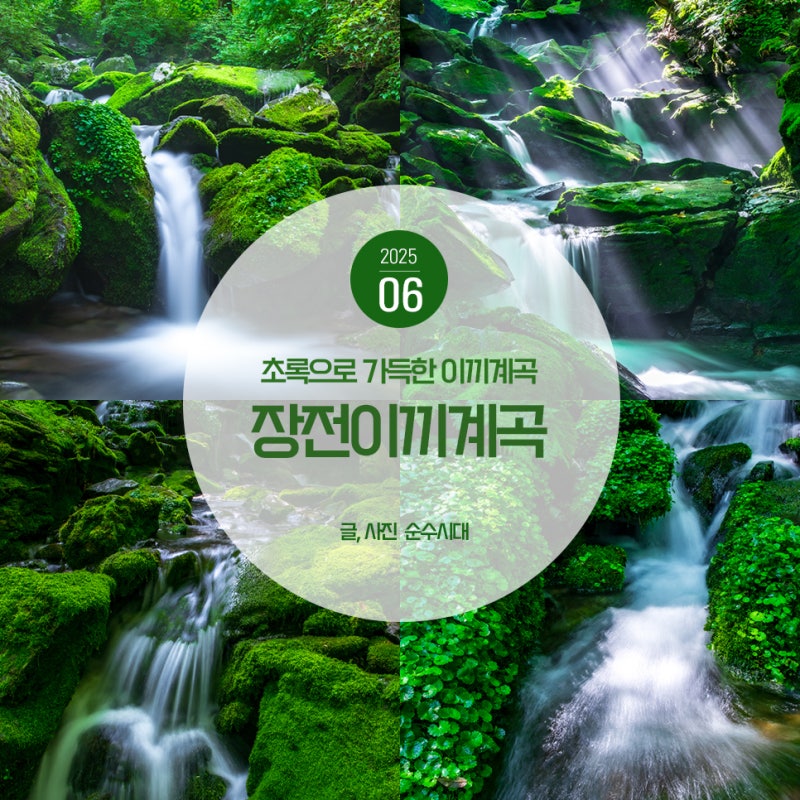 사진 11