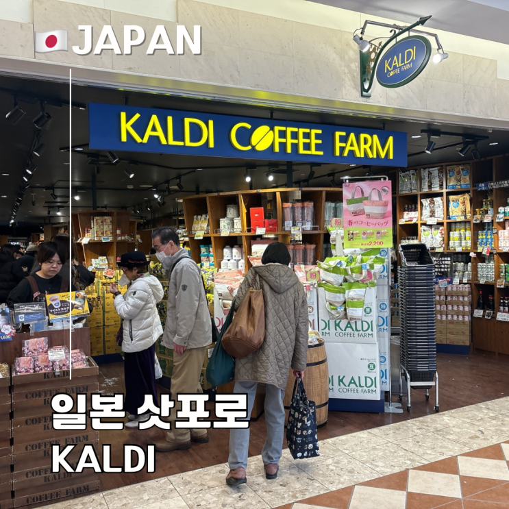  일본 삿포로 칼디 필수 쇼핑 리스트 추천템 비추천템