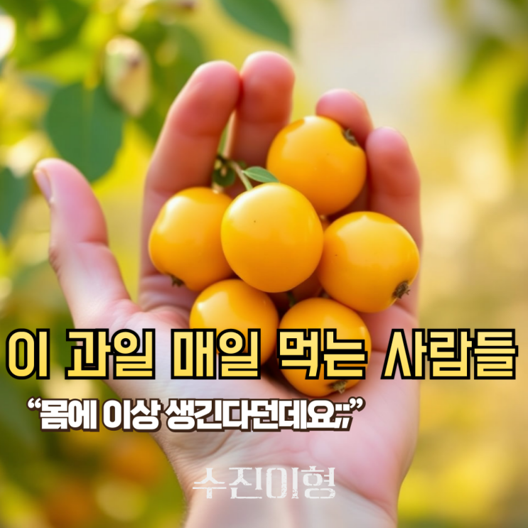 "이 과일" 매일 먹으면 진짜 건강해진다고? 비파 효능, 이렇게까지 좋다고요?