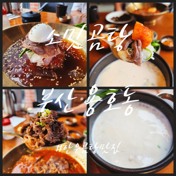  부산용호동맛집 [소밋곰탕] 우유 빛깔 프리미엄 한우 곰탕과 여름 한정 가성비 메뉴 냉면 세트 추천!