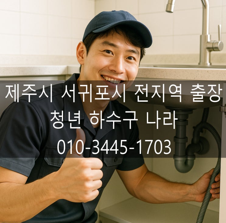  제주시 화북동 변기막힘