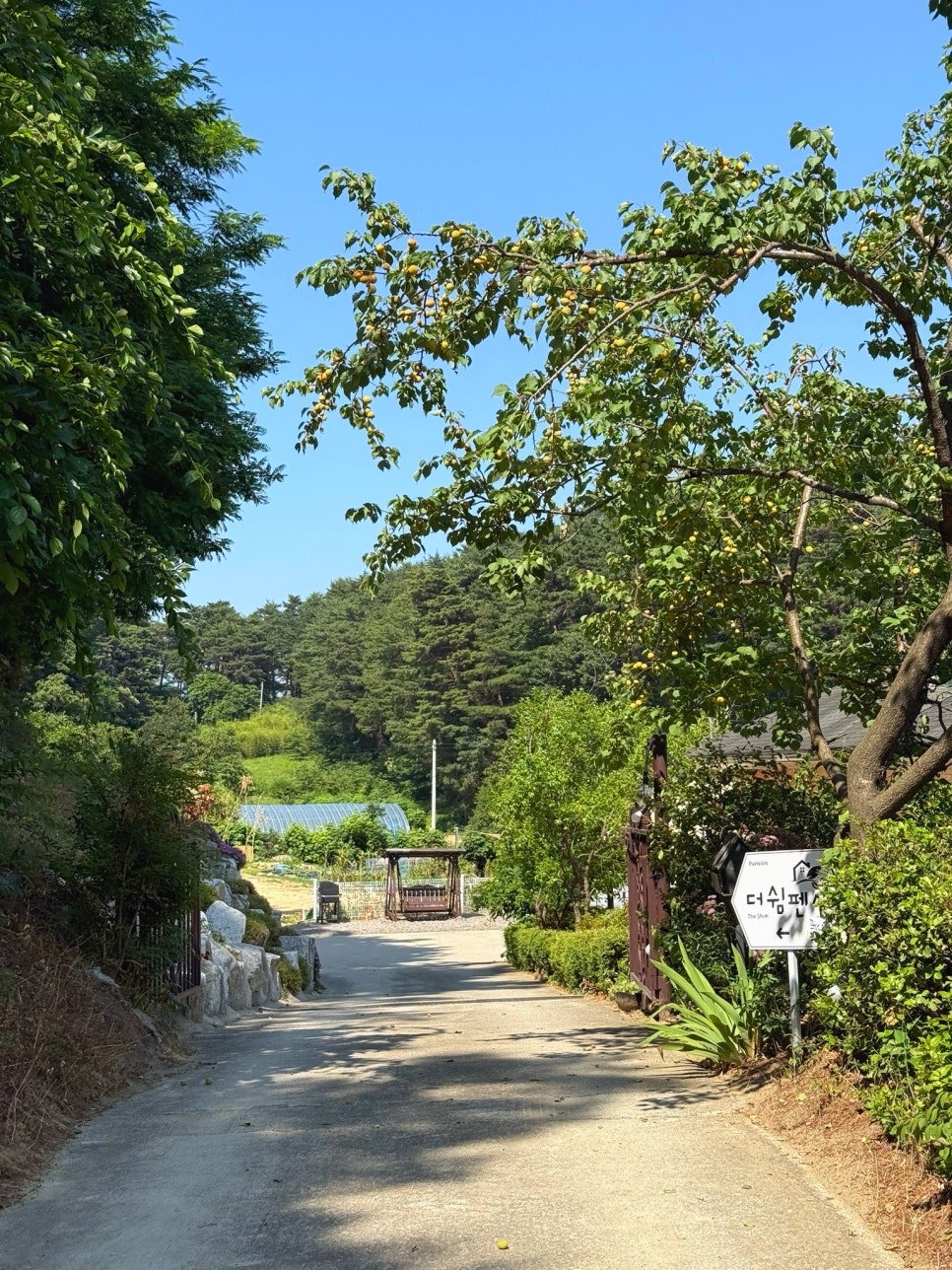 더쉼펜션 사진 1