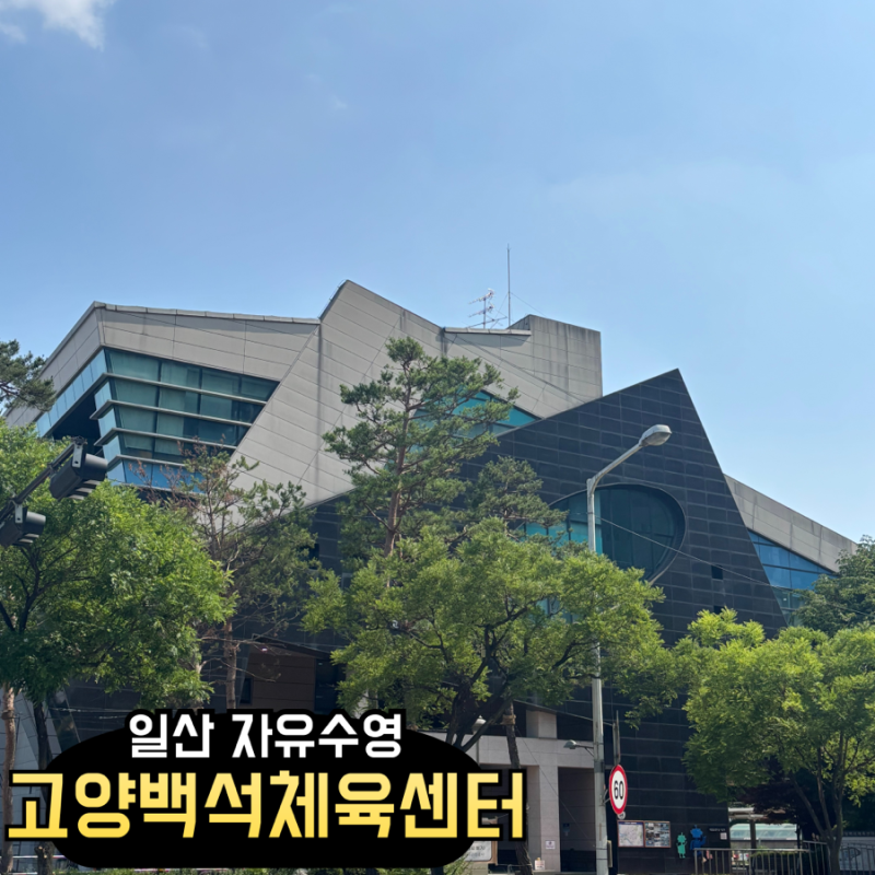 일산 수영장 _ 고양백석체육센터 주말 자유수영 후기