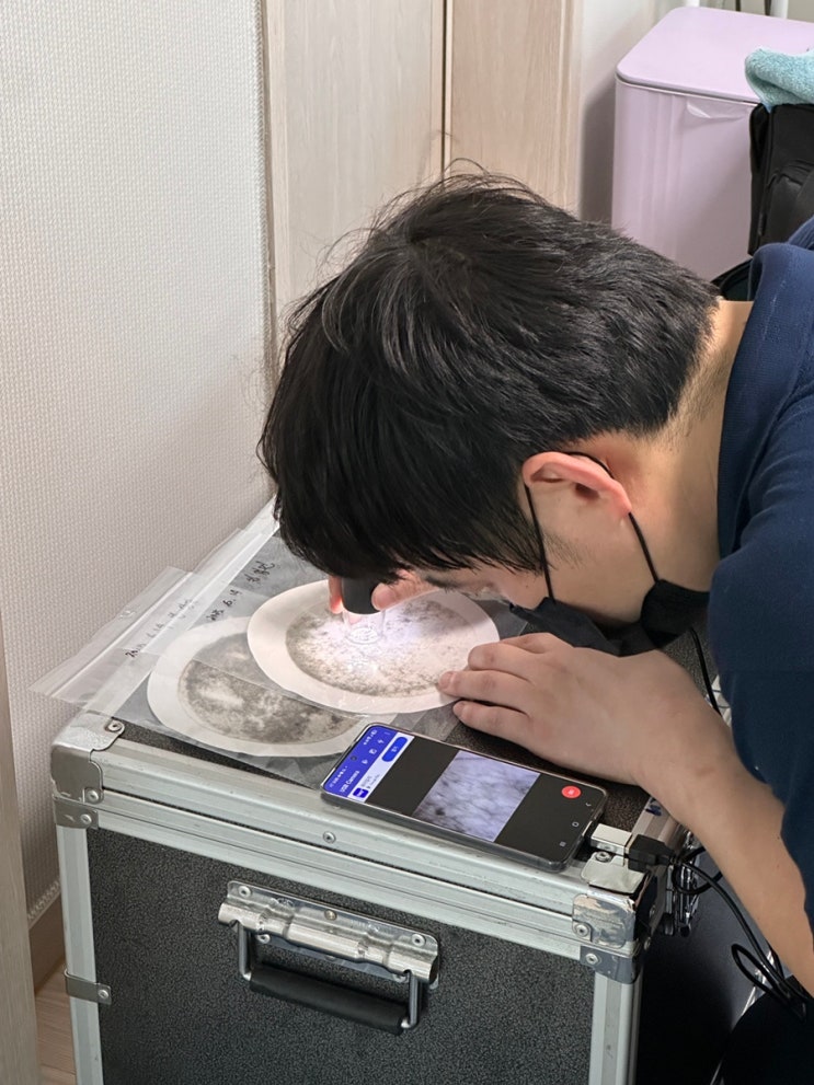  인천 검단신도시 매트리스 청소 복브로홈케어 가격 솔직 후기