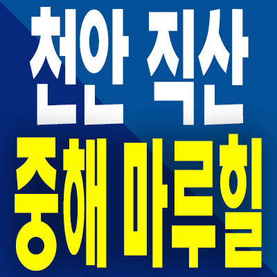  천안 직산 중해마루힐 민간임대아파트 모델하우스 분양 내용