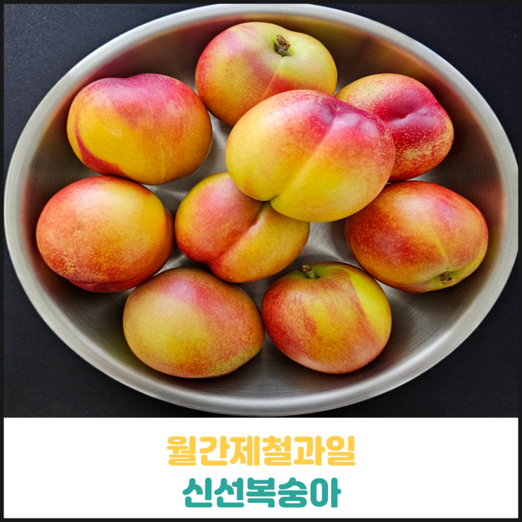 월간제철과일 신선복숭아 후기 월간제철과일 신선복숭아 후기