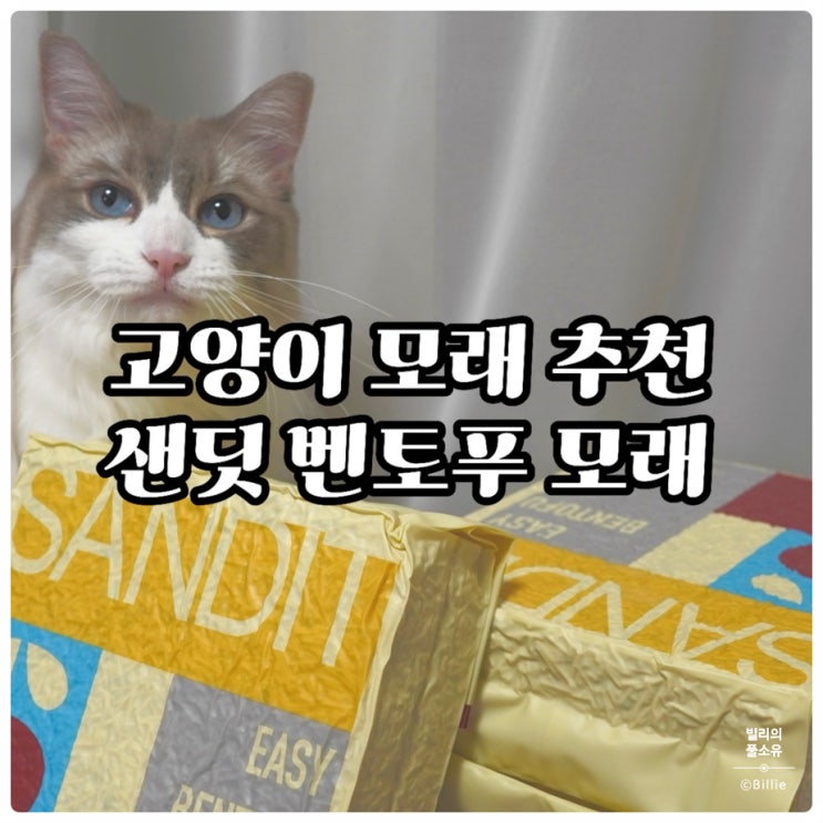  두부+벤토의 완벽조합! 고양이집사가 인정한 냄새안나는 고양이모래 추천