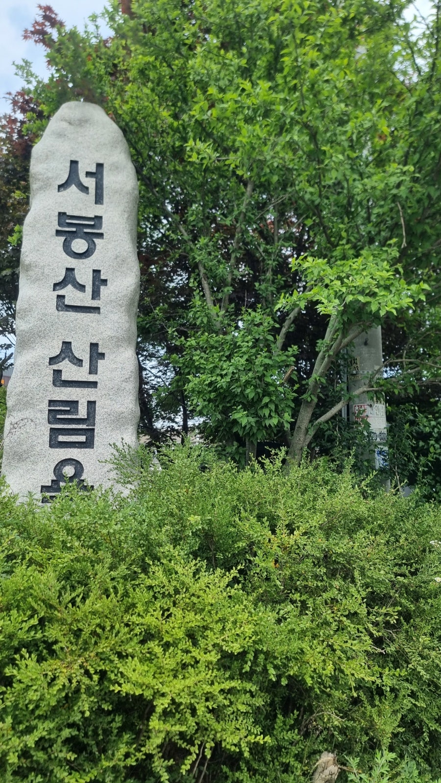 서봉산알천냉면 사진 1
