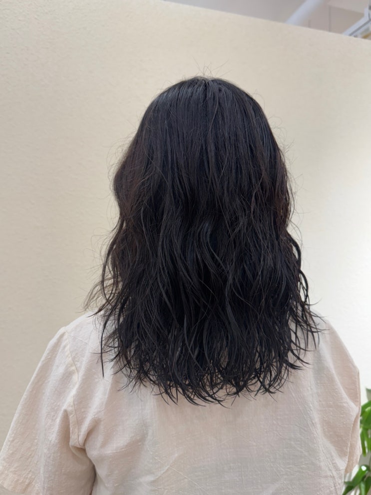  안산 고잔신도시 볼륨있는 컬 잘나오는 데일리수헤어 안산본점
