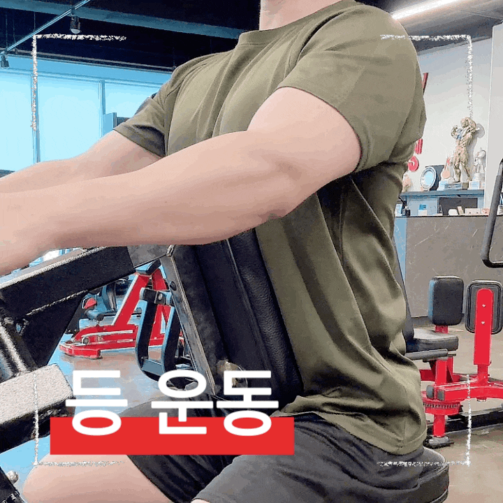  로우 머신 제대로 하는 법! 등 운동 자세 & 자극 부위