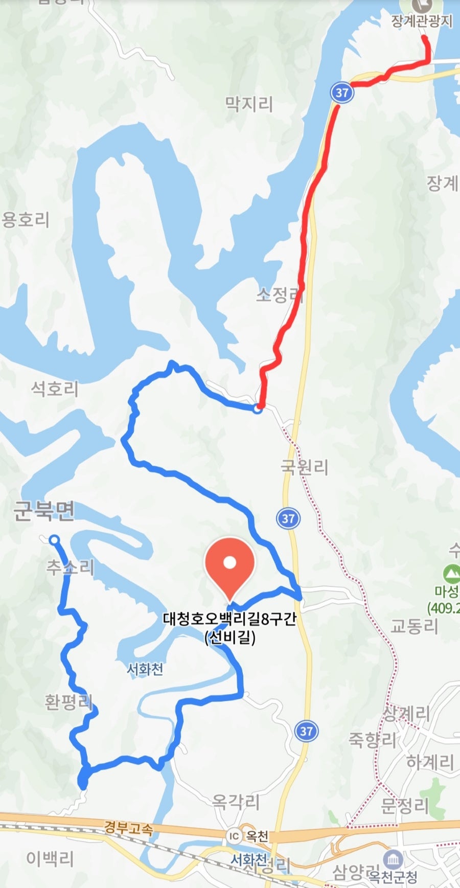 복골 사진 2