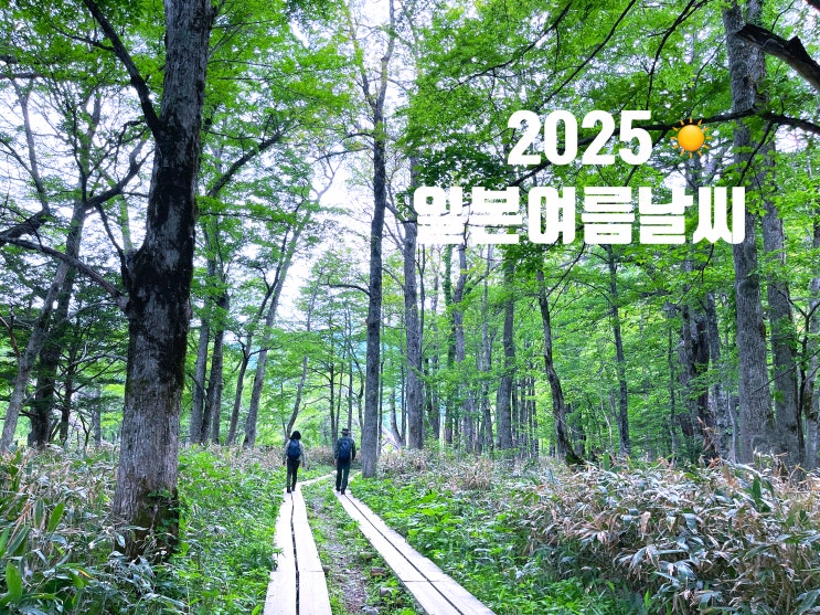  2025 일본여름날씨와 여행지 총정리