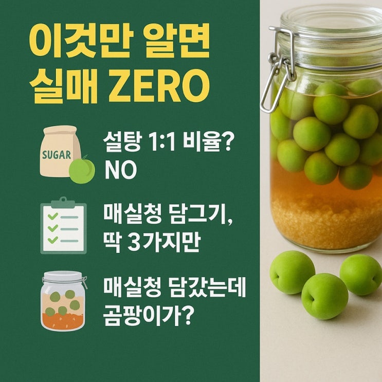 이것만 알면 실패 ZERO! 매실청 황금레시피 대공개!