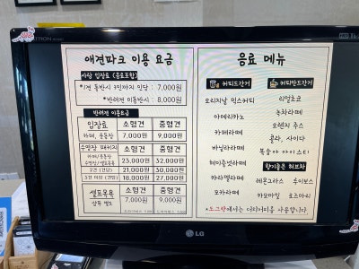 사진 8