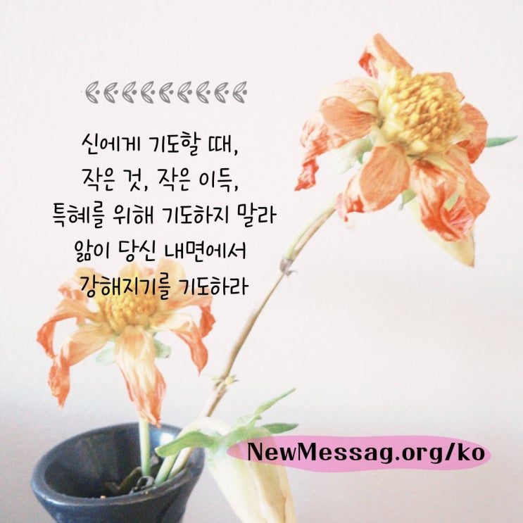 바라고 구하고 애원하는 기도 대신 바라고 구하고 애원하는 기도 대신