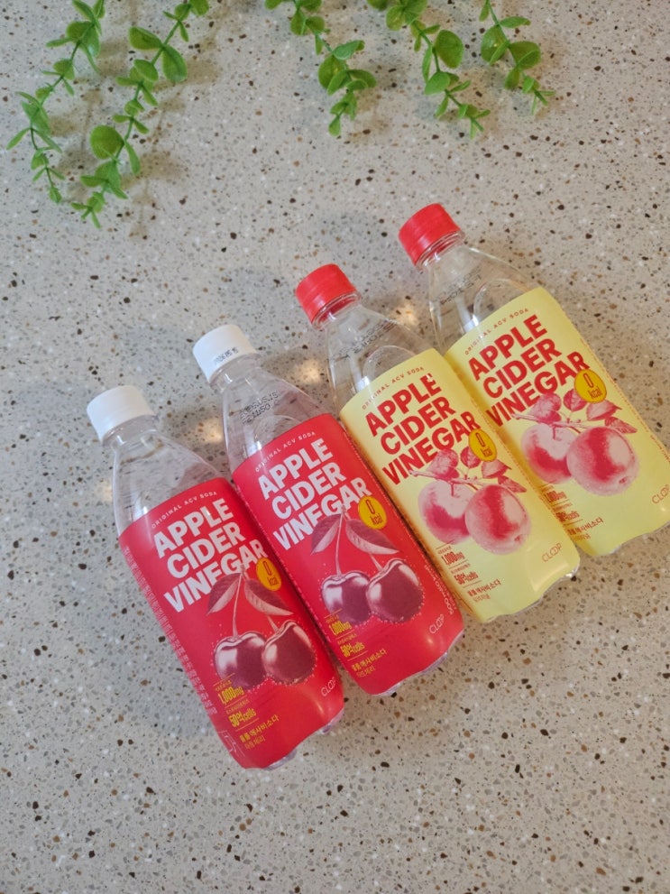  [클룹 애사비소다 500ml 사과, 타트체리] 건강하고 맛있게 즐기는 애사비 추천