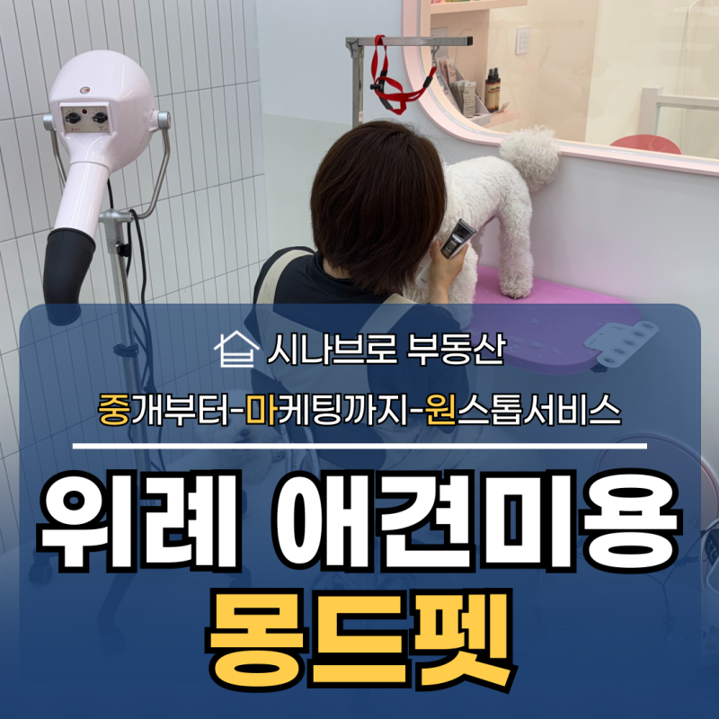 사진 2