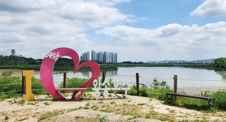  [경기도 의왕 여행지 추천] 왕송호수 연꽃 핫플, 산책하기 좋은 둘레길 산책