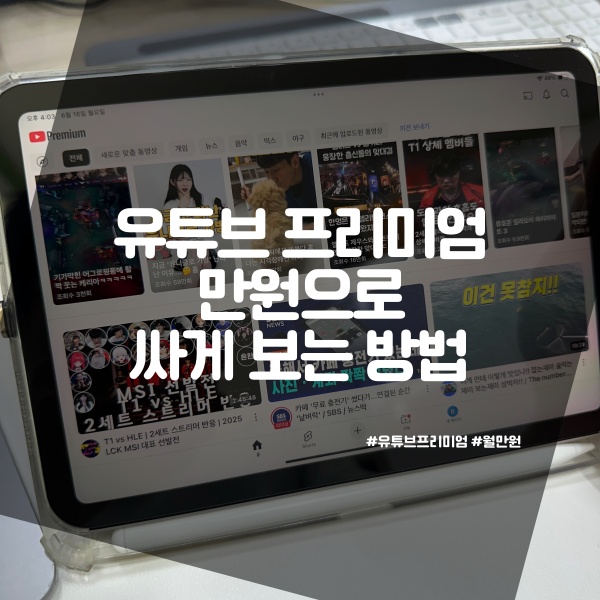  유튜브 프리미엄 만원으로 싸게 보는 방법(광고차단 계정차단 당함)