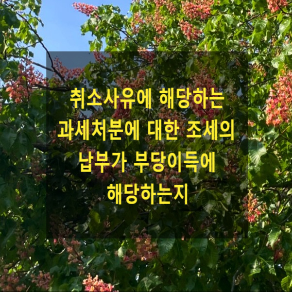  취소사유에 해당하는 과세처분에 대한 조세의 납부가 부당이득에 해당하는지